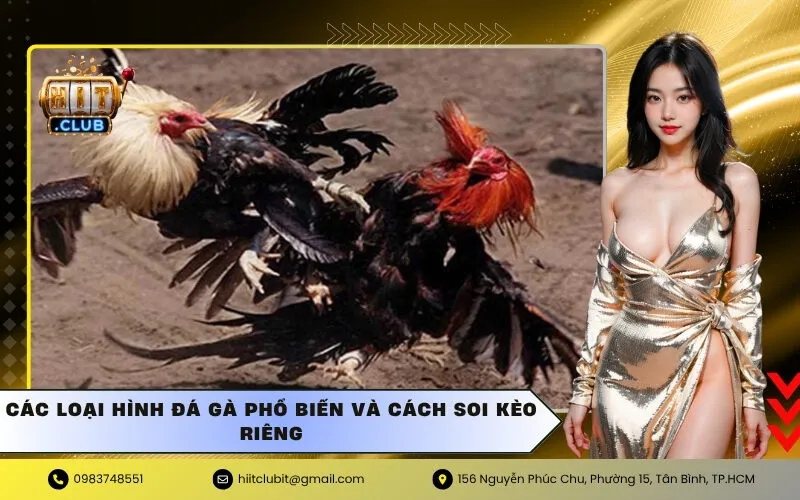 Các Loại Hình Đá Gà Phổ Biến và Cách Soi Kèo Riêng