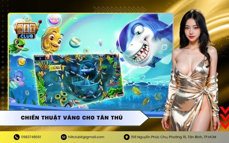 Chiến Thuật Vàng Cho Tân Thủ