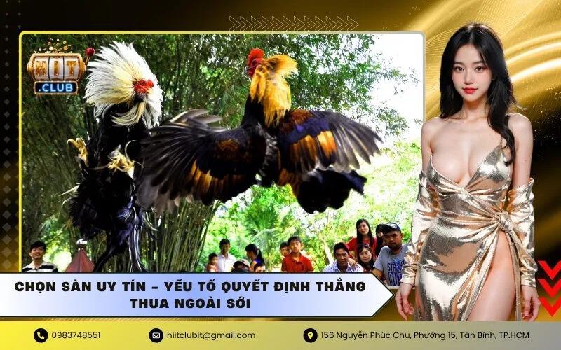 Chọn Sàn Uy Tín - Yếu Tố Quyết Định Thắng Thua Ngoài Sới