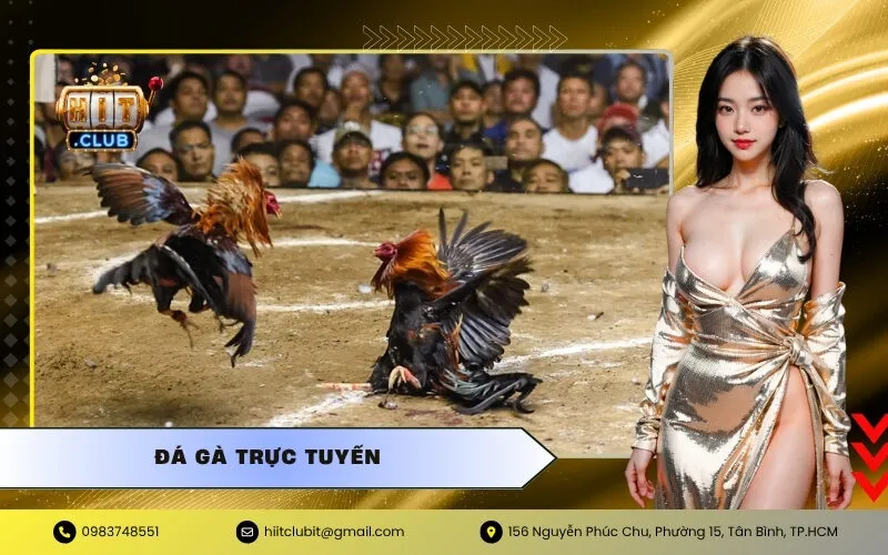 Đá Gà Trực Tuyến