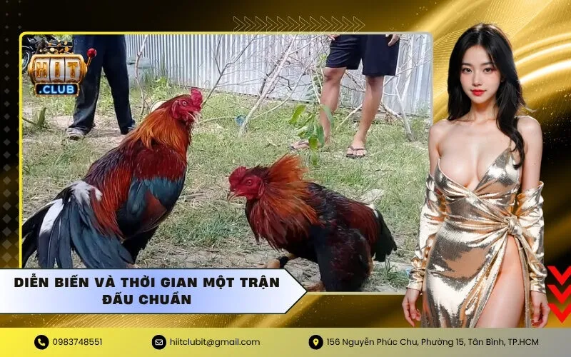 Diễn biến và thời gian một trận đấu chuẩn