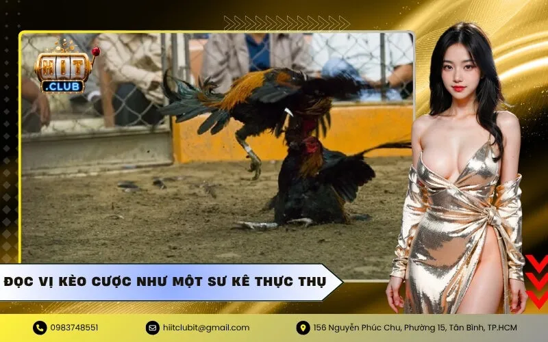 Đọc vị kèo cược như một sư kê thực thụ