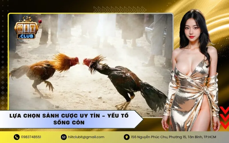 Lựa chọn sảnh cược uy tín - Yếu tố sống còn