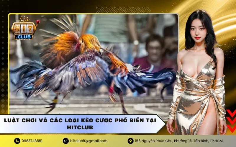 Luật chơi và các loại kèo cược phổ biến tại hitclub