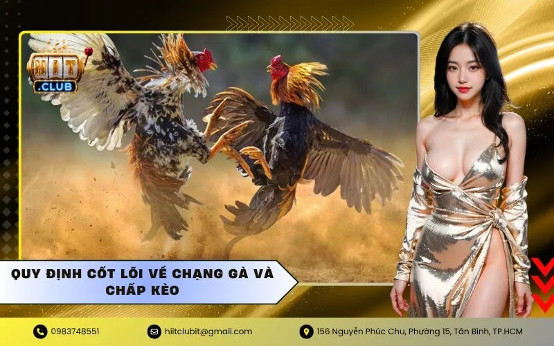 Quy định cốt lõi về Chạng Gà và Chấp Kèo