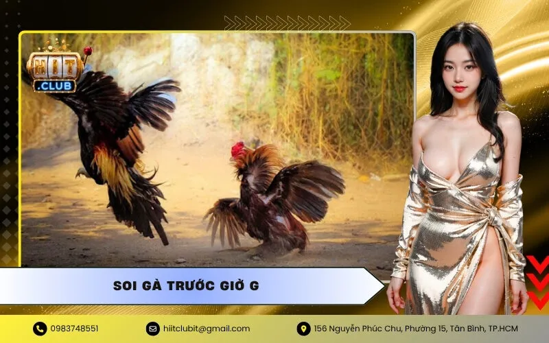 Soi Gà Trước Giờ G