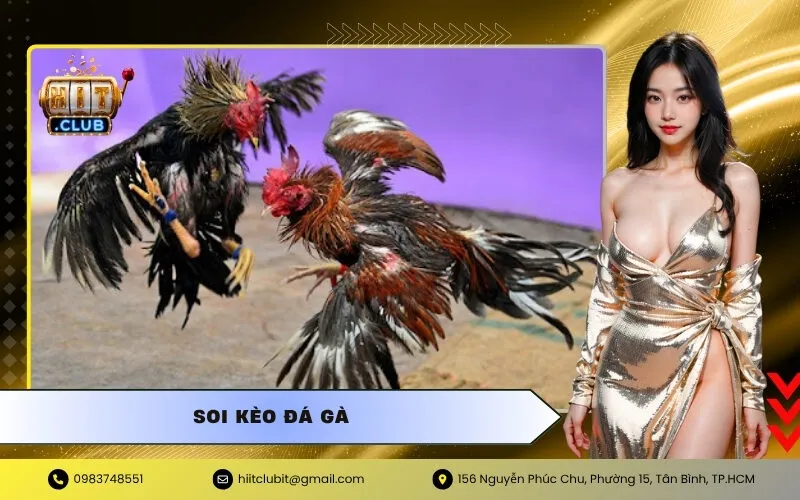 Soi Kèo Đá Gà